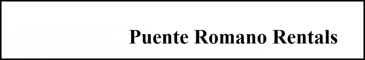 Properties for rent Puente Romano